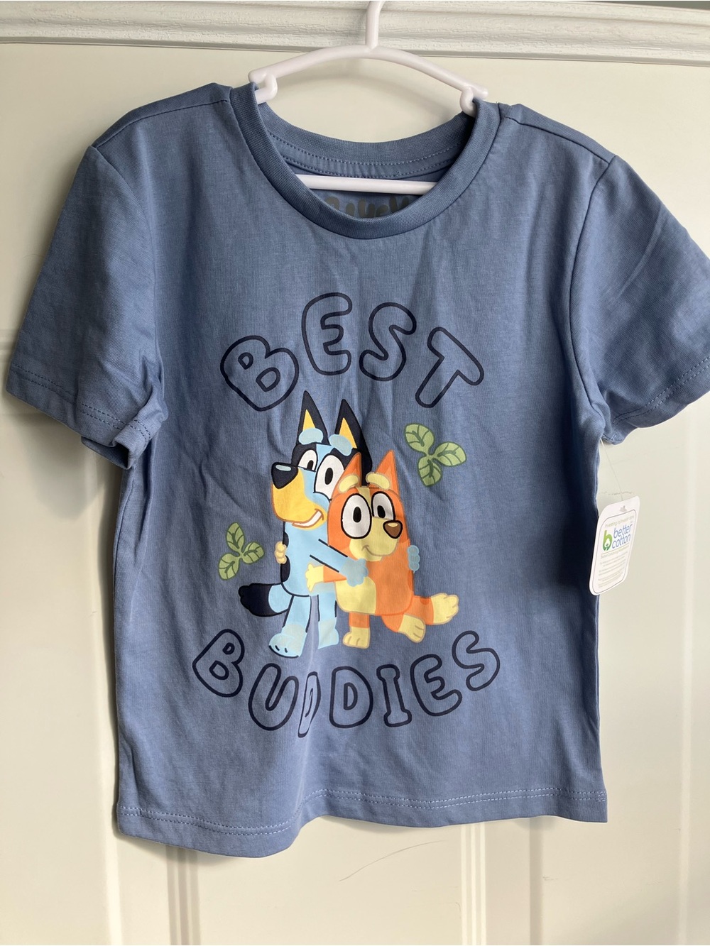 Bluey and Bingo best buddies tshirt 4T NWT